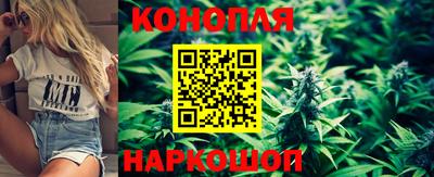 гидра Славгород