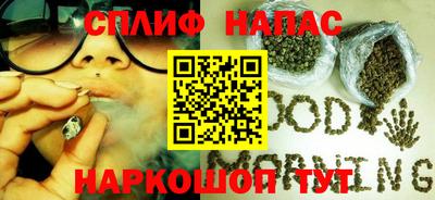 гидра Славгород