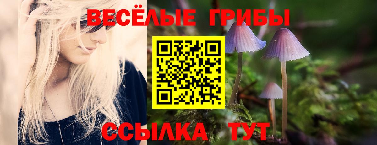 Псилоцибиновые грибы ЛСД  Вход с VPN  Осинники 