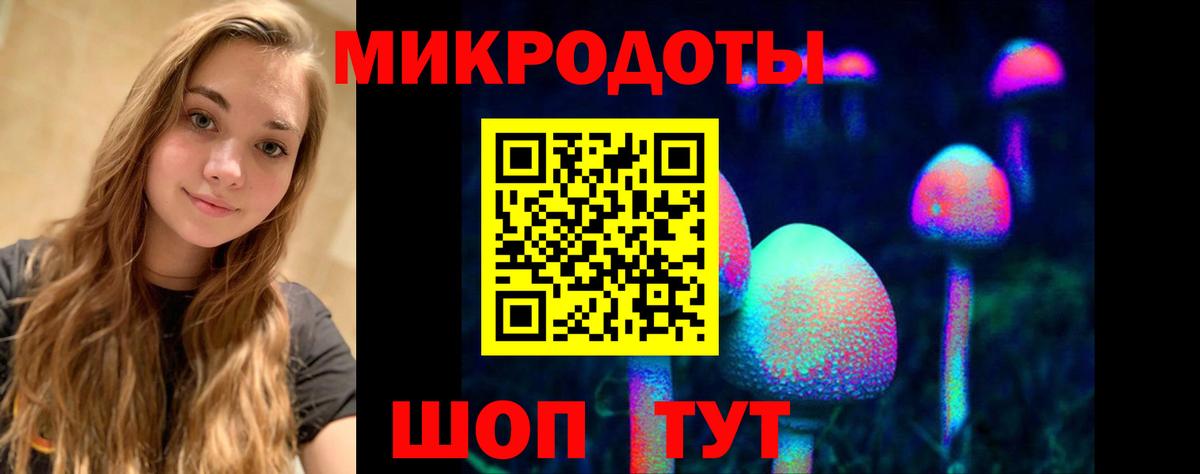 Галлюциногенные грибы MAGIC MUSHROOMS Осинники